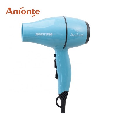 Mute function Mini professional AC motor Hair Dryer