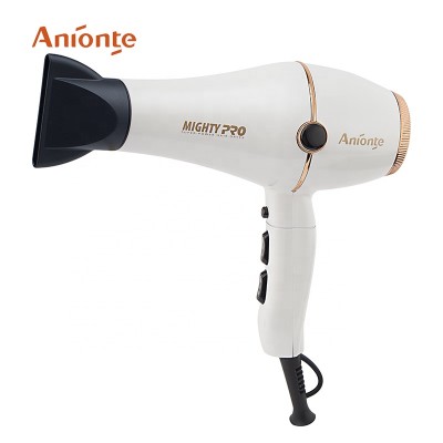 2 speeds/3 heats professional AC motor hair dryer